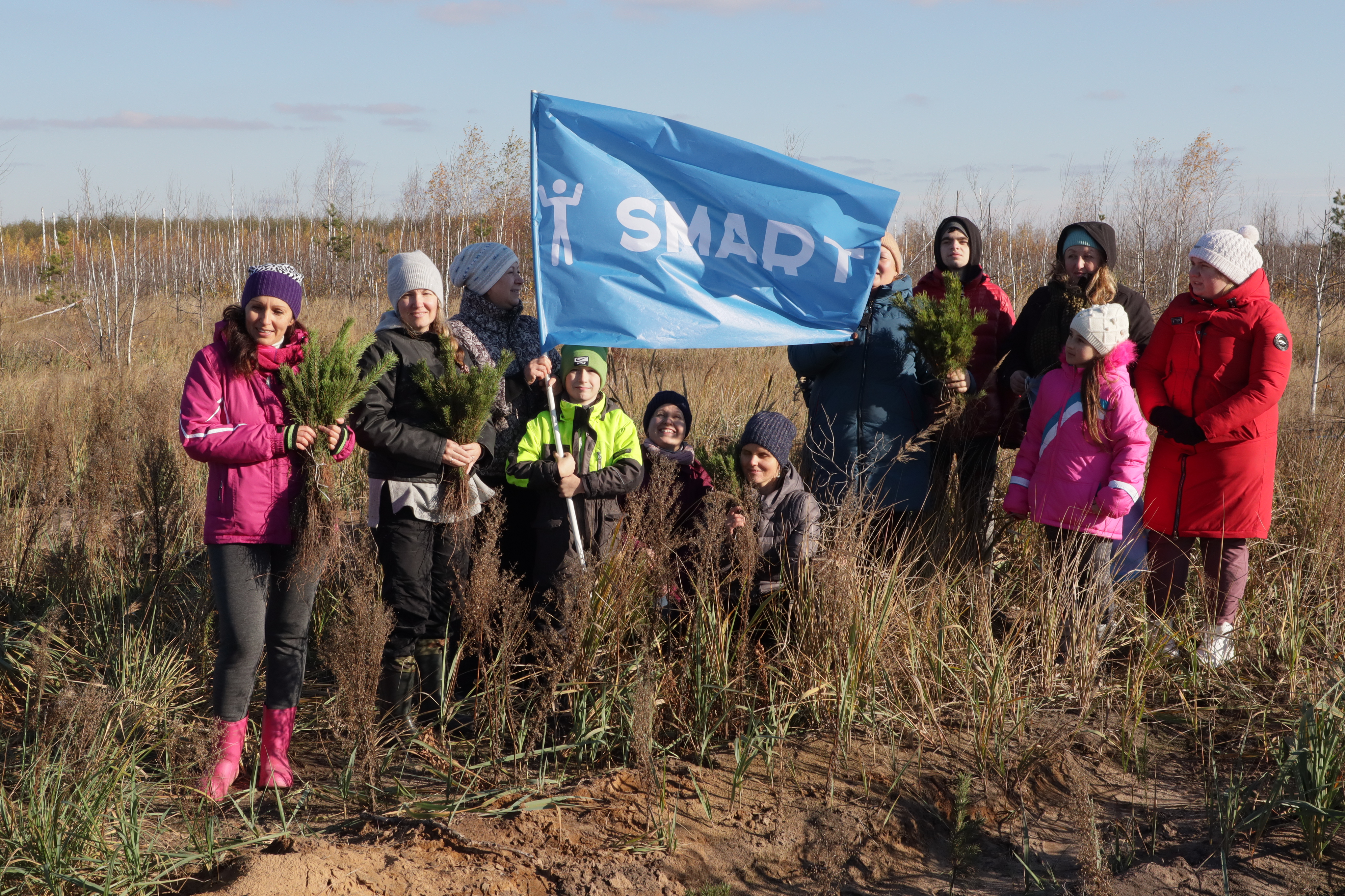Посадка деревьев