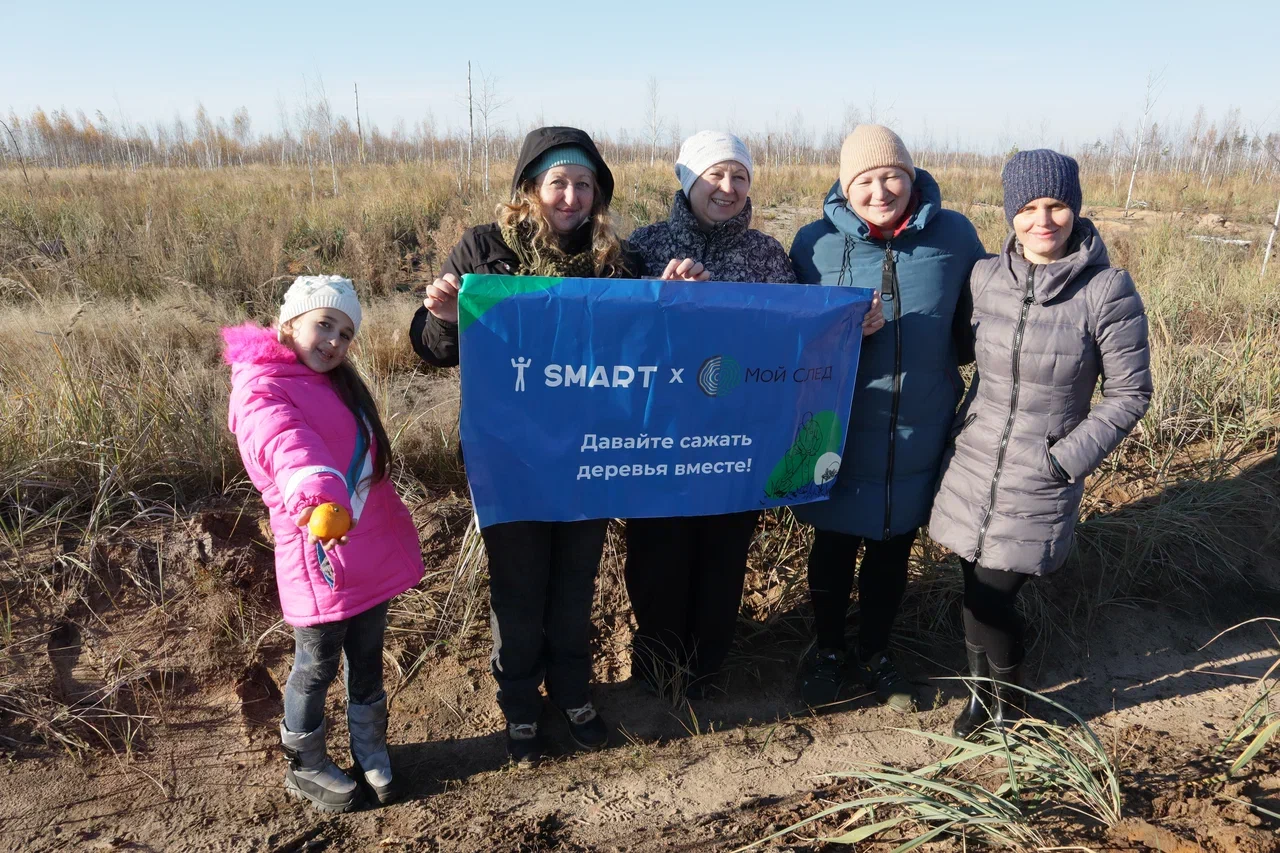 Посадка деревьев